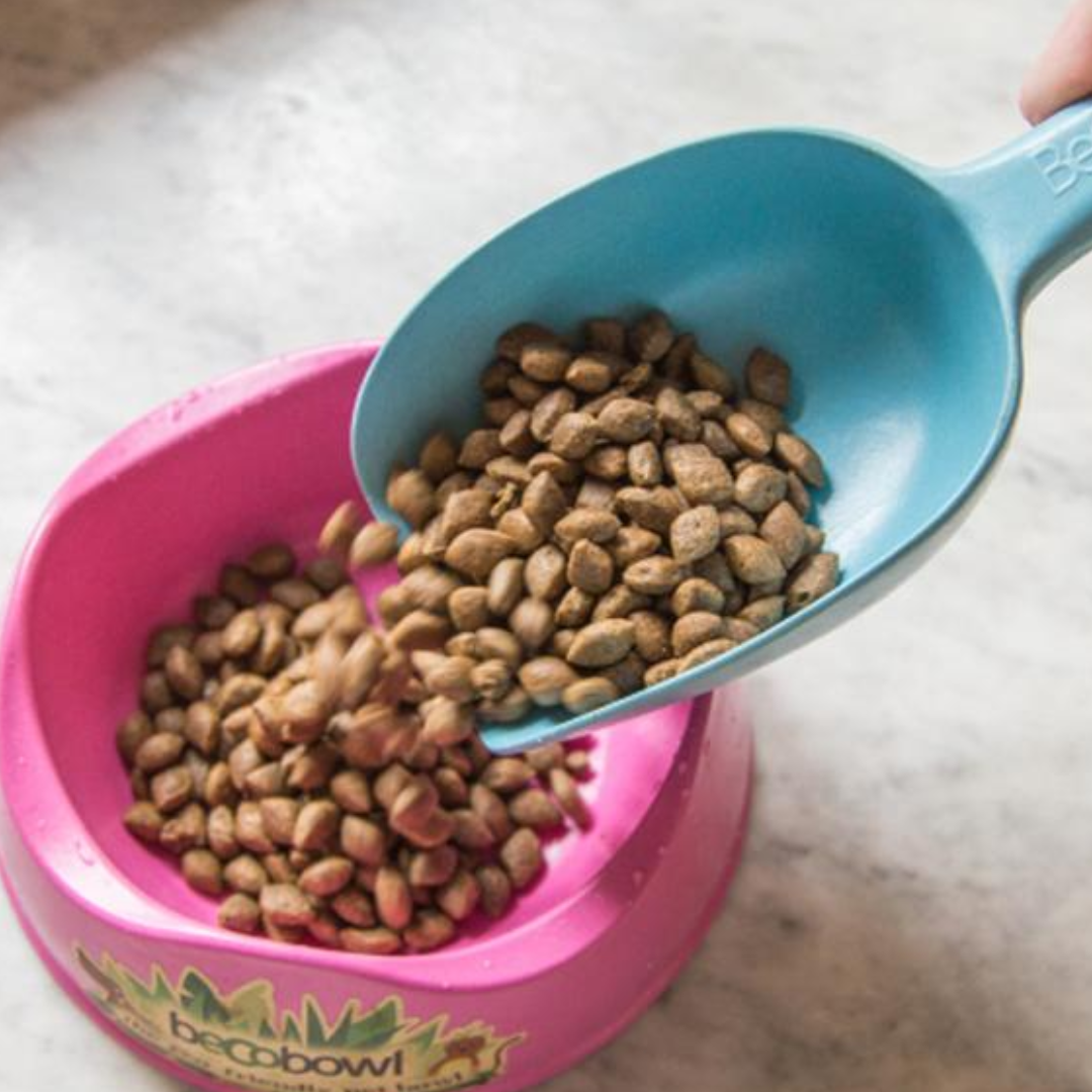 Bowls & Feeders