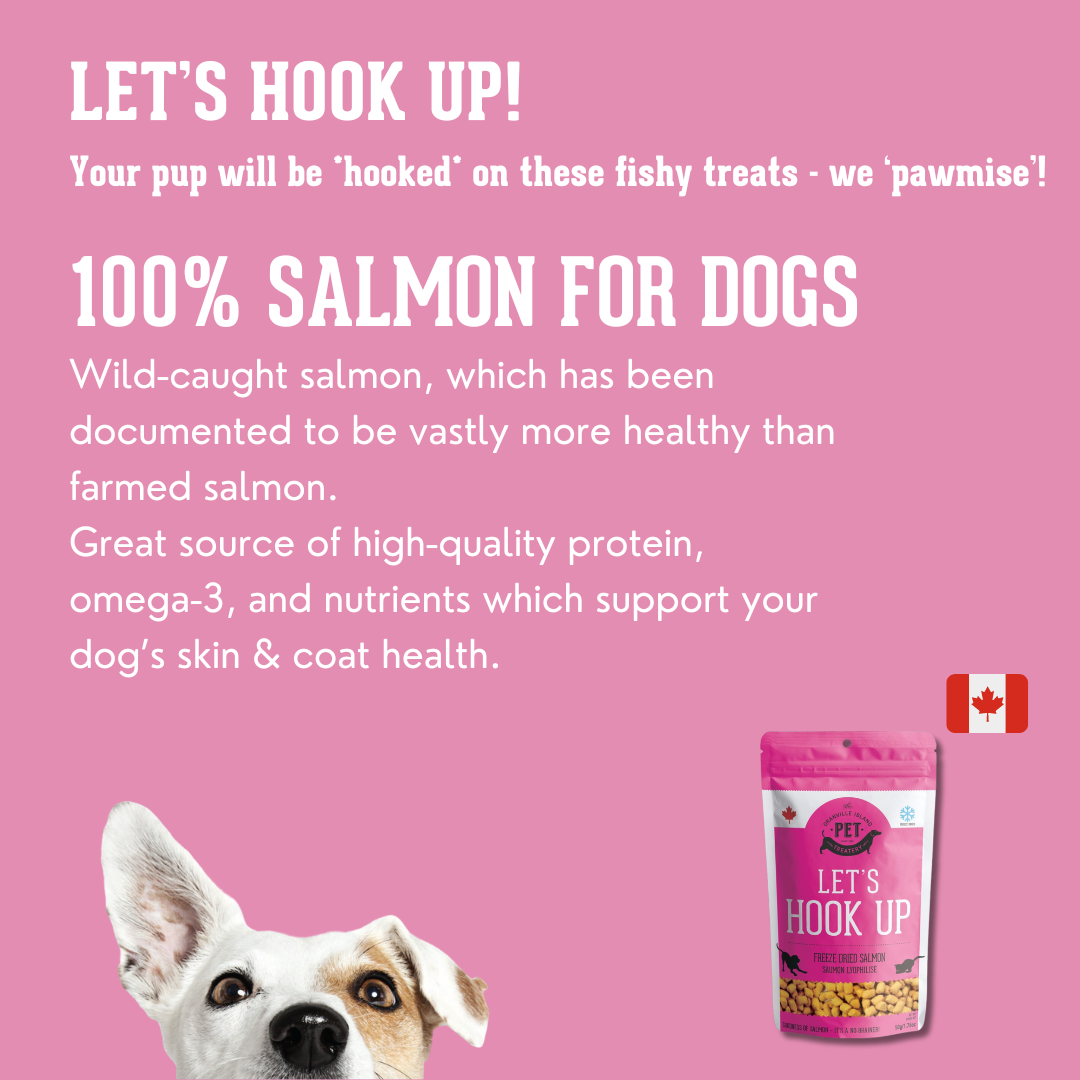 Freeze Dried Wild  Salmon Treat For Dogs 50g