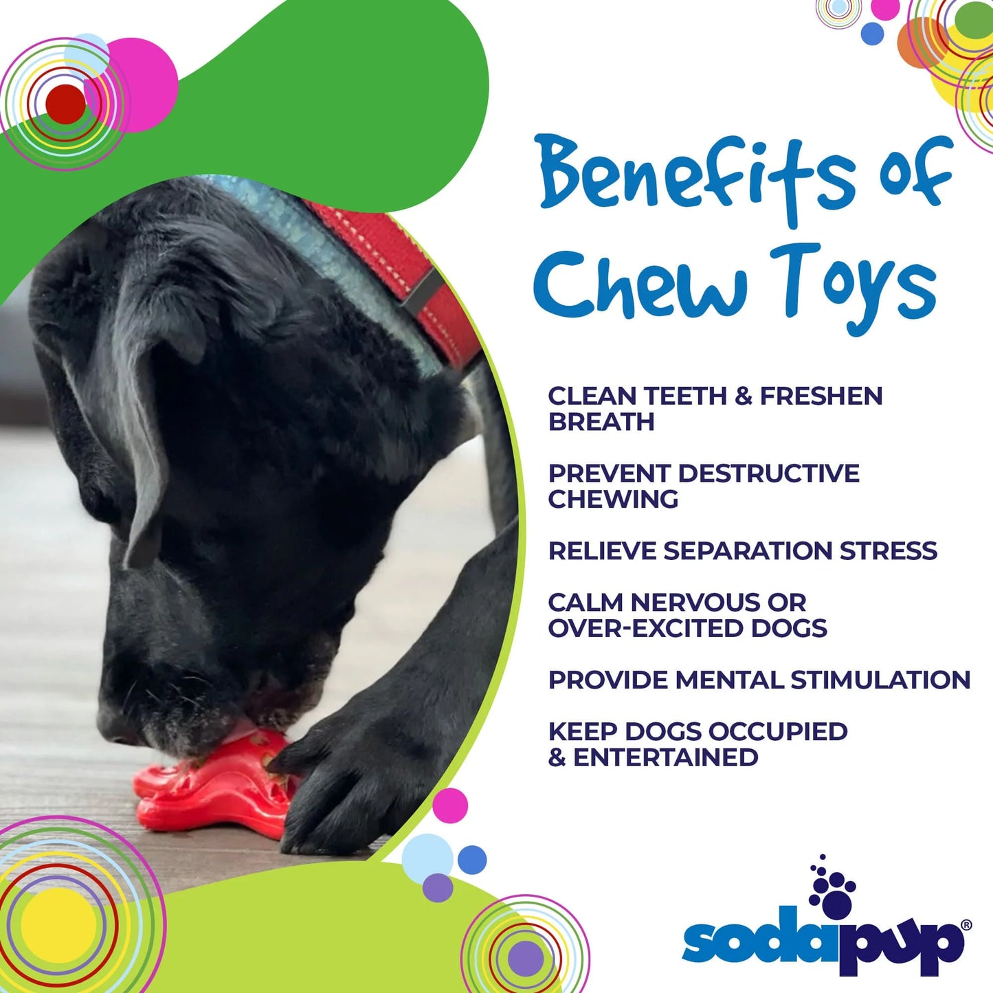 Starfish Ultra Durable Chew Toy