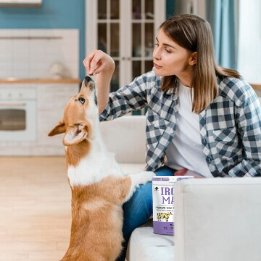 Beef Liver Freeze-Dried Pet Treats: Protein & Nutrient Rich