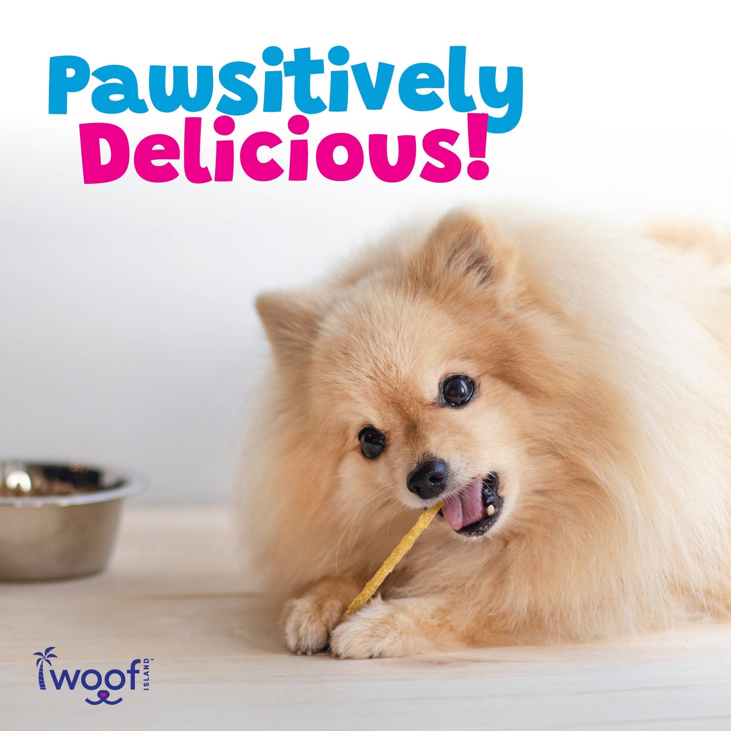 Coconut Dog Twists Premium Treats 12 Count: Single Bag