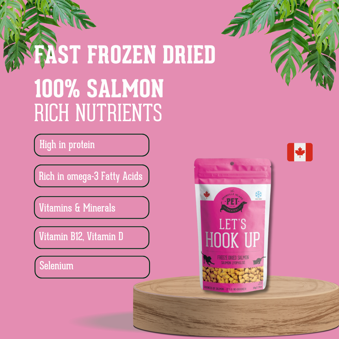 Freeze Dried Wild  Salmon Treat For Dogs 50g