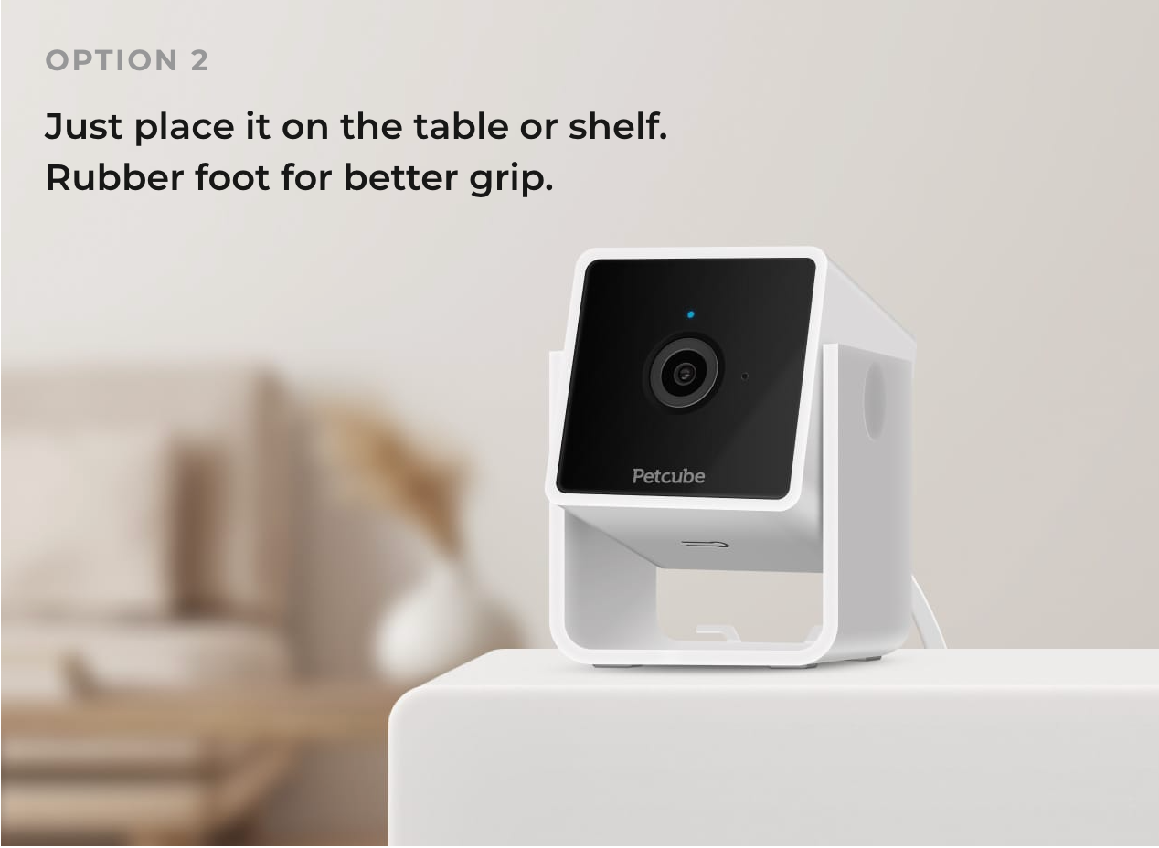 Petcube Cam