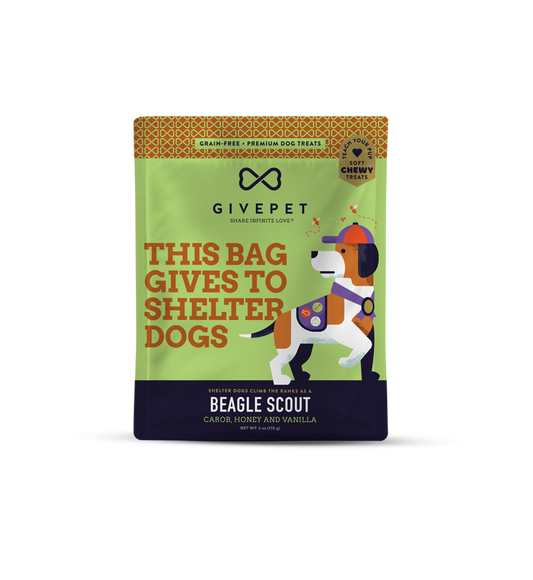 Beagle Scout