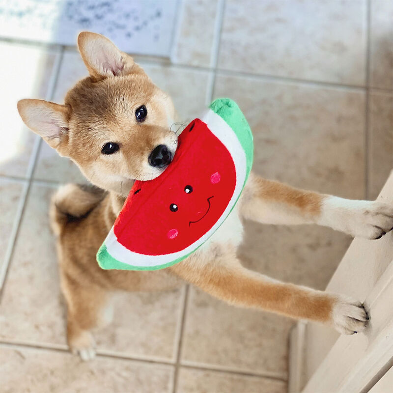 NomNomz Watermelon