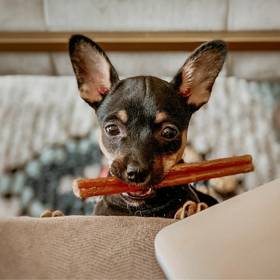 6" Bully Sticks