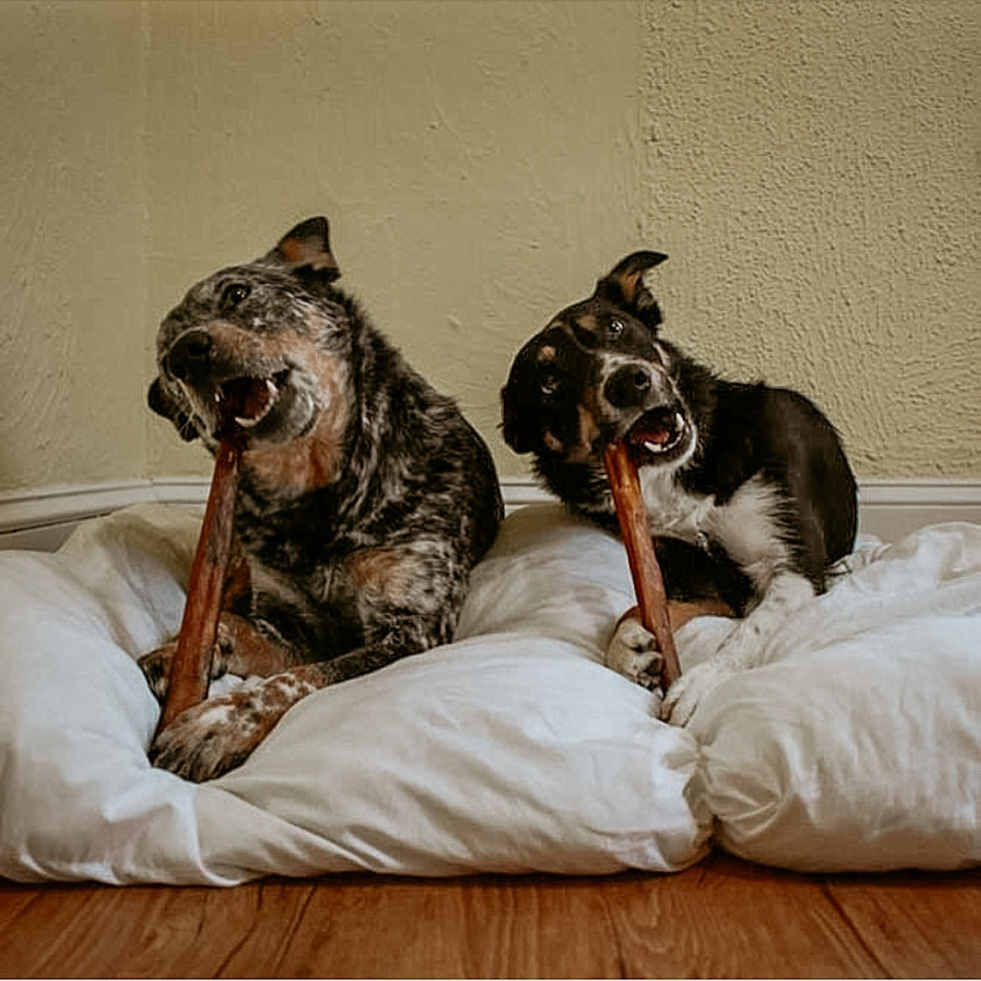 XL Bully Stick Box