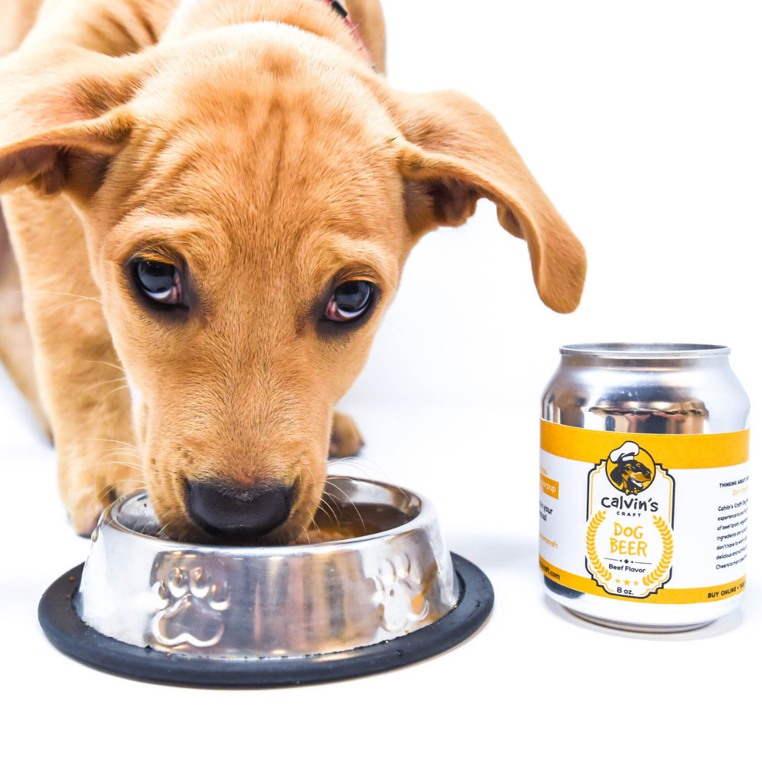 Dog Beer