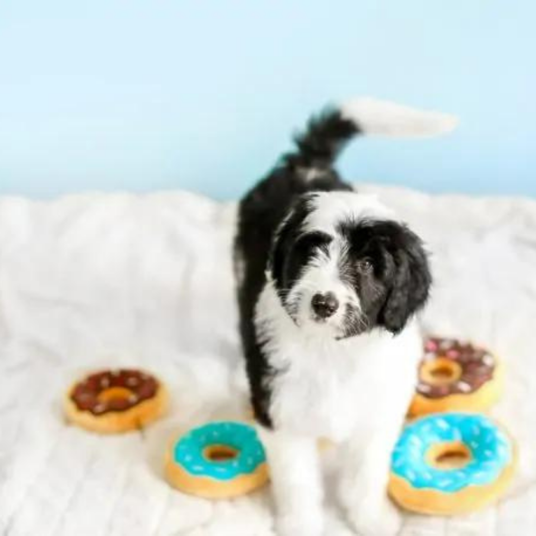 Donutz Chocolate 5-Inch