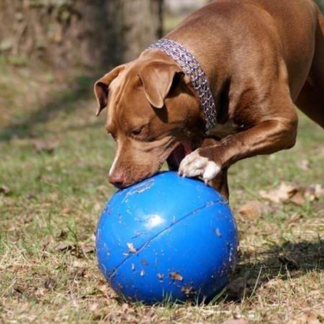 Boomer Ball