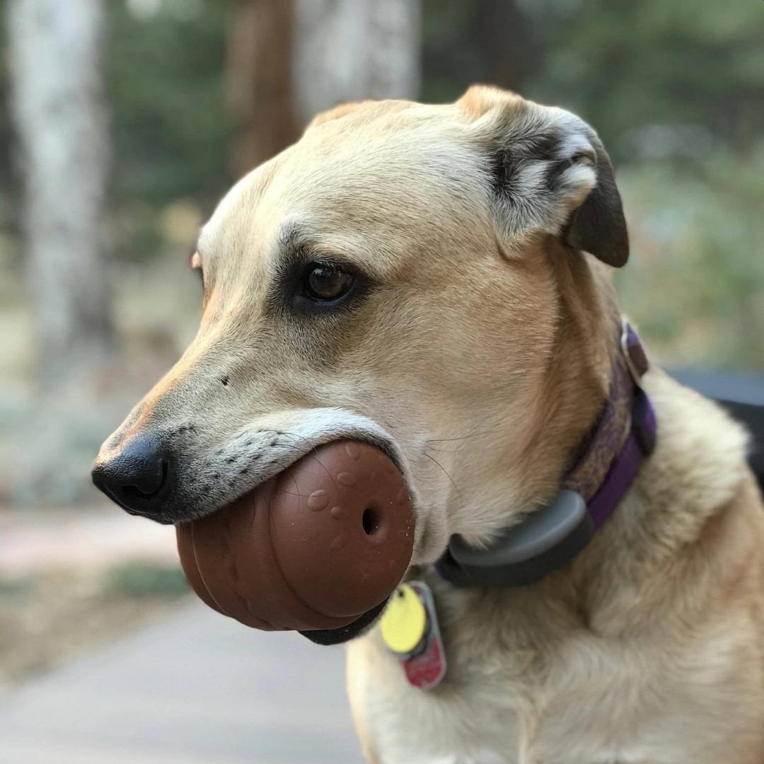 Hamburger Durable Rubber Chew Toy