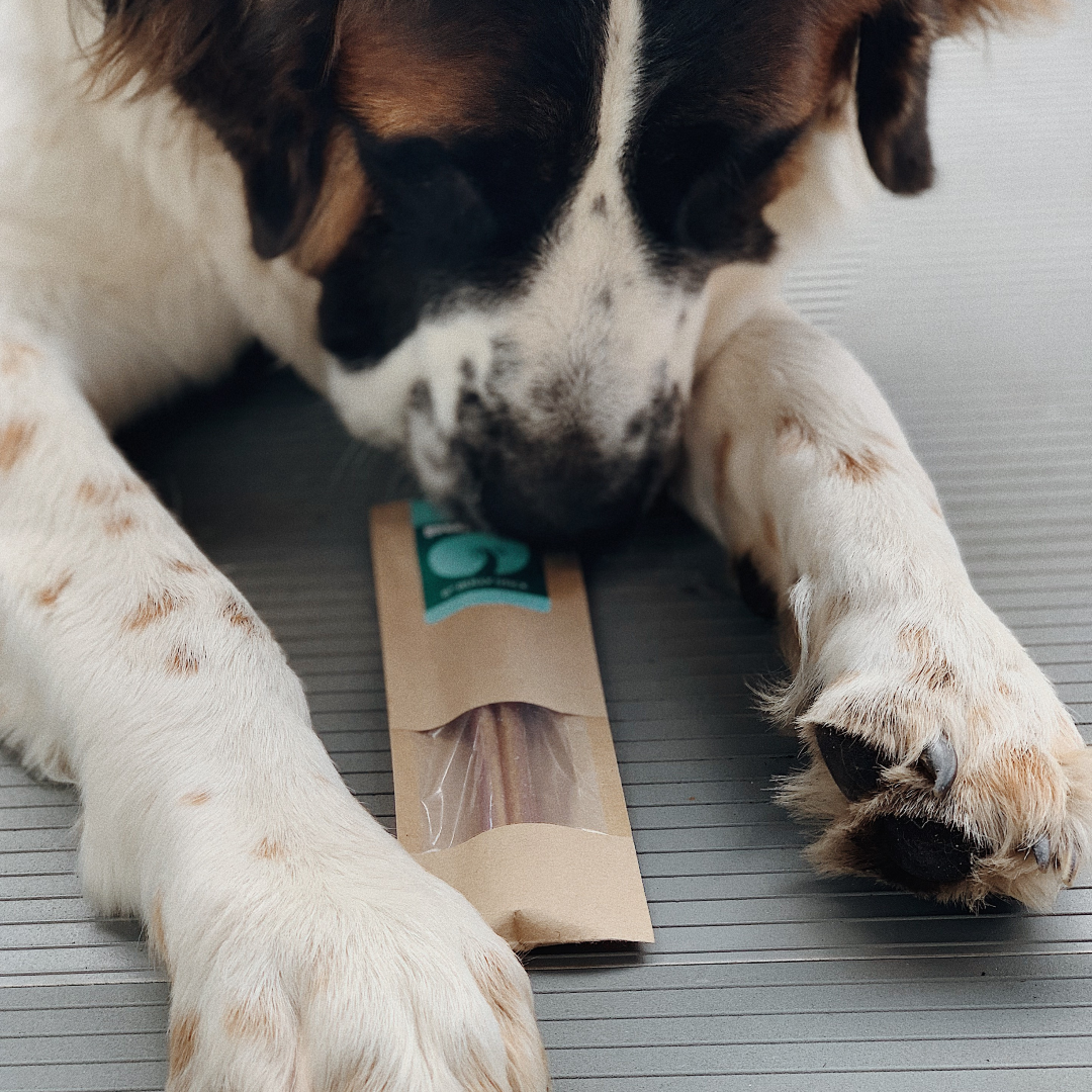 Bully Sticks
