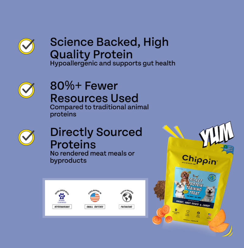 Cricket Protein Soft Jerky