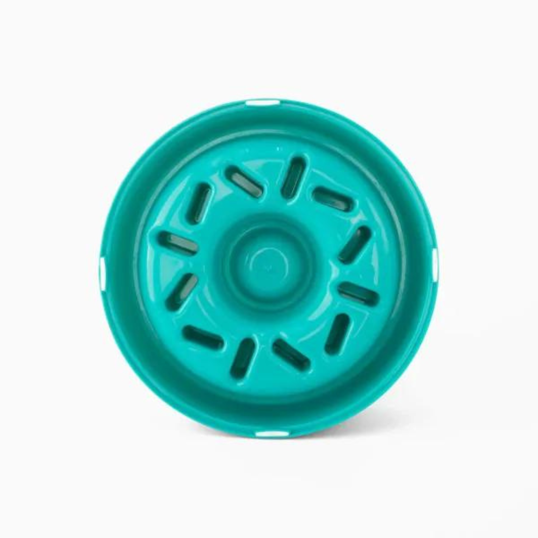 Donut Happy Slow Feed Bowl