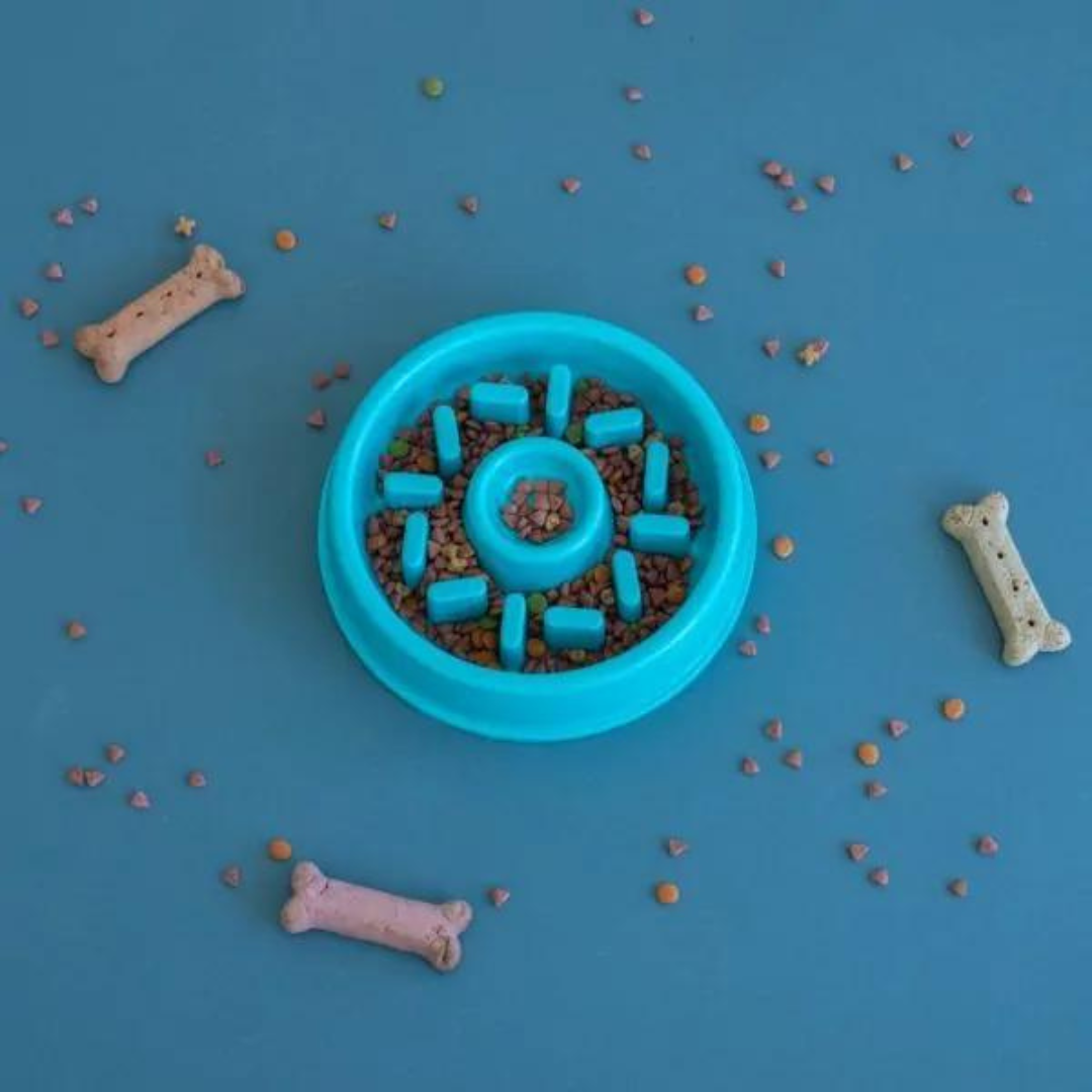 Donut Happy Slow Feed Bowl