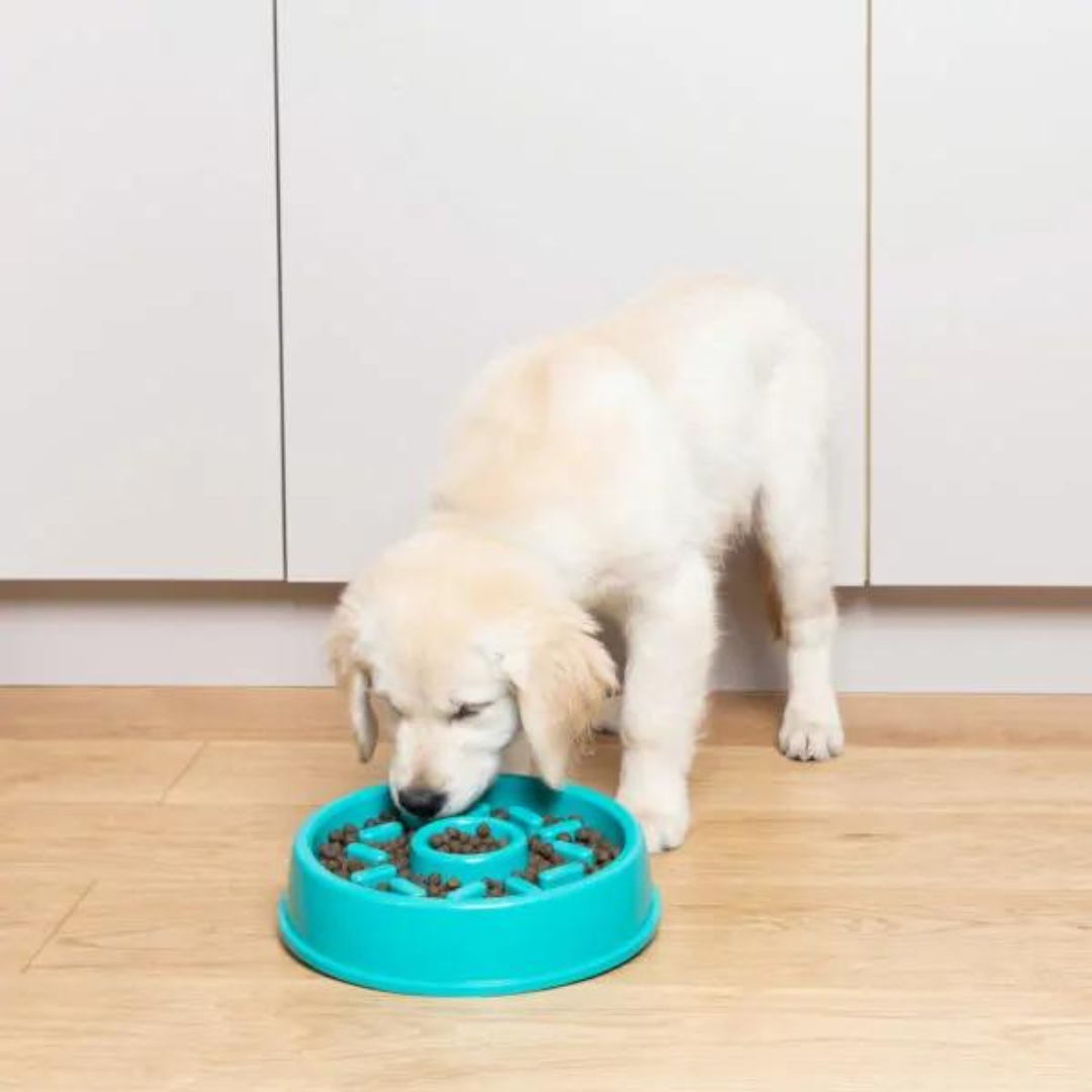 Donut Happy Slow Feed Bowl