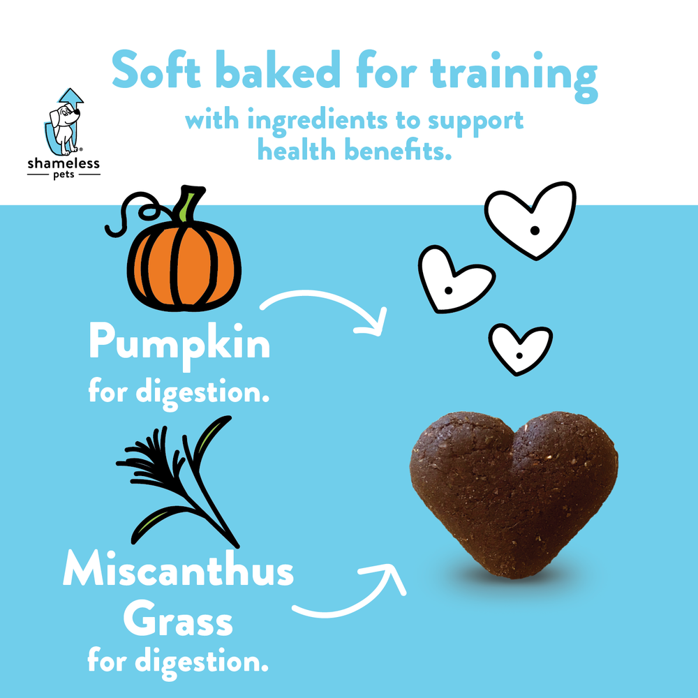 Pumpkin Nut Partay Soft Baked Dog Treats