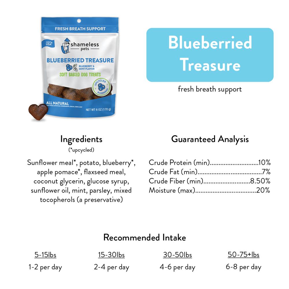 Blueberried Treasure Soft Baked Dog Treats
