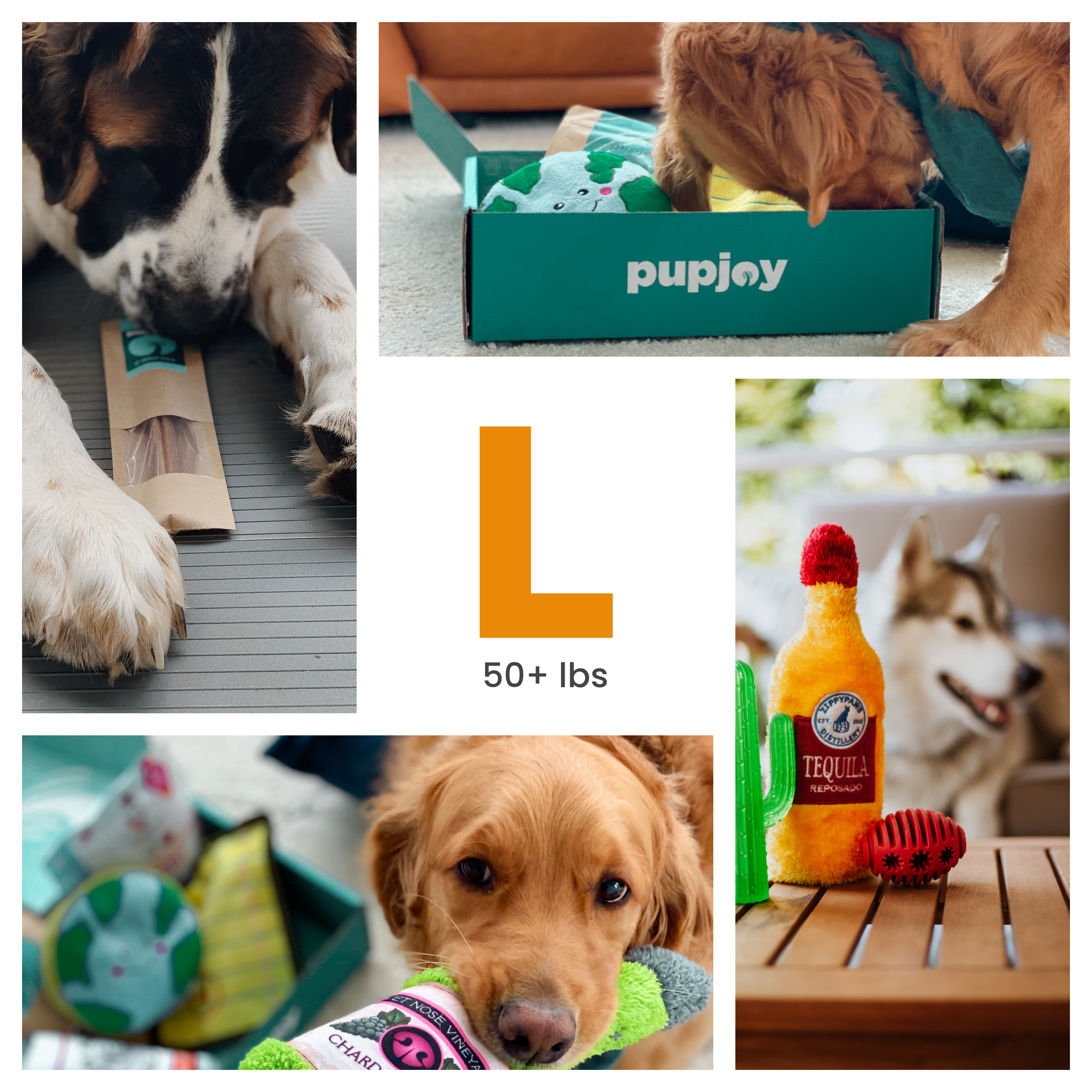 Pupjoy box clearance