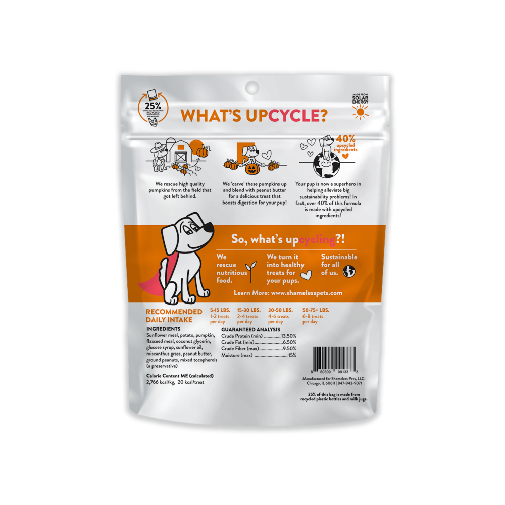 Pumpkin Nut Partay Soft Baked Dog Treats