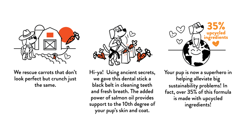 Carate Chomp Dental Sticks