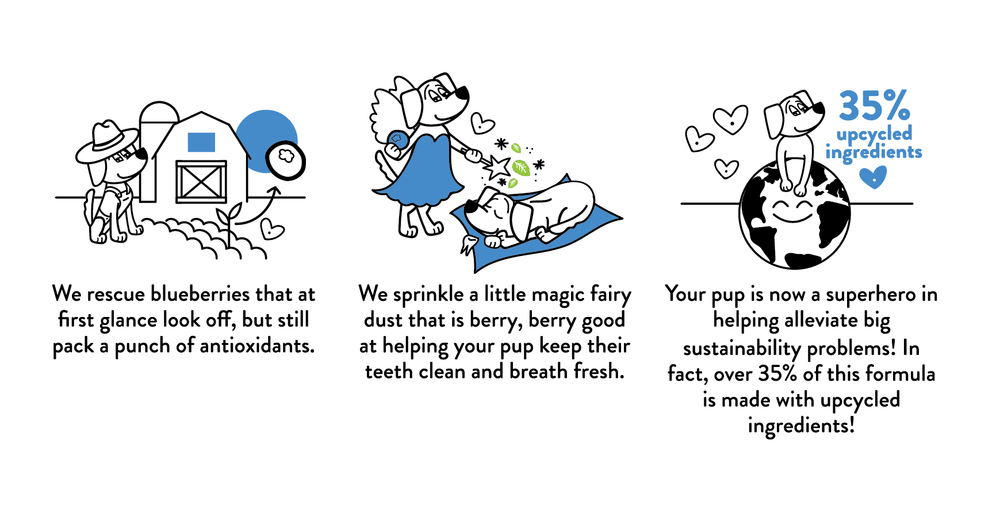 The Tooth Berry Dental Sticks