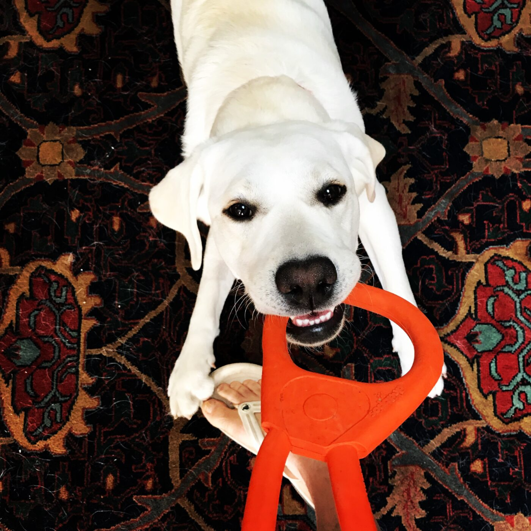 Tug Toys