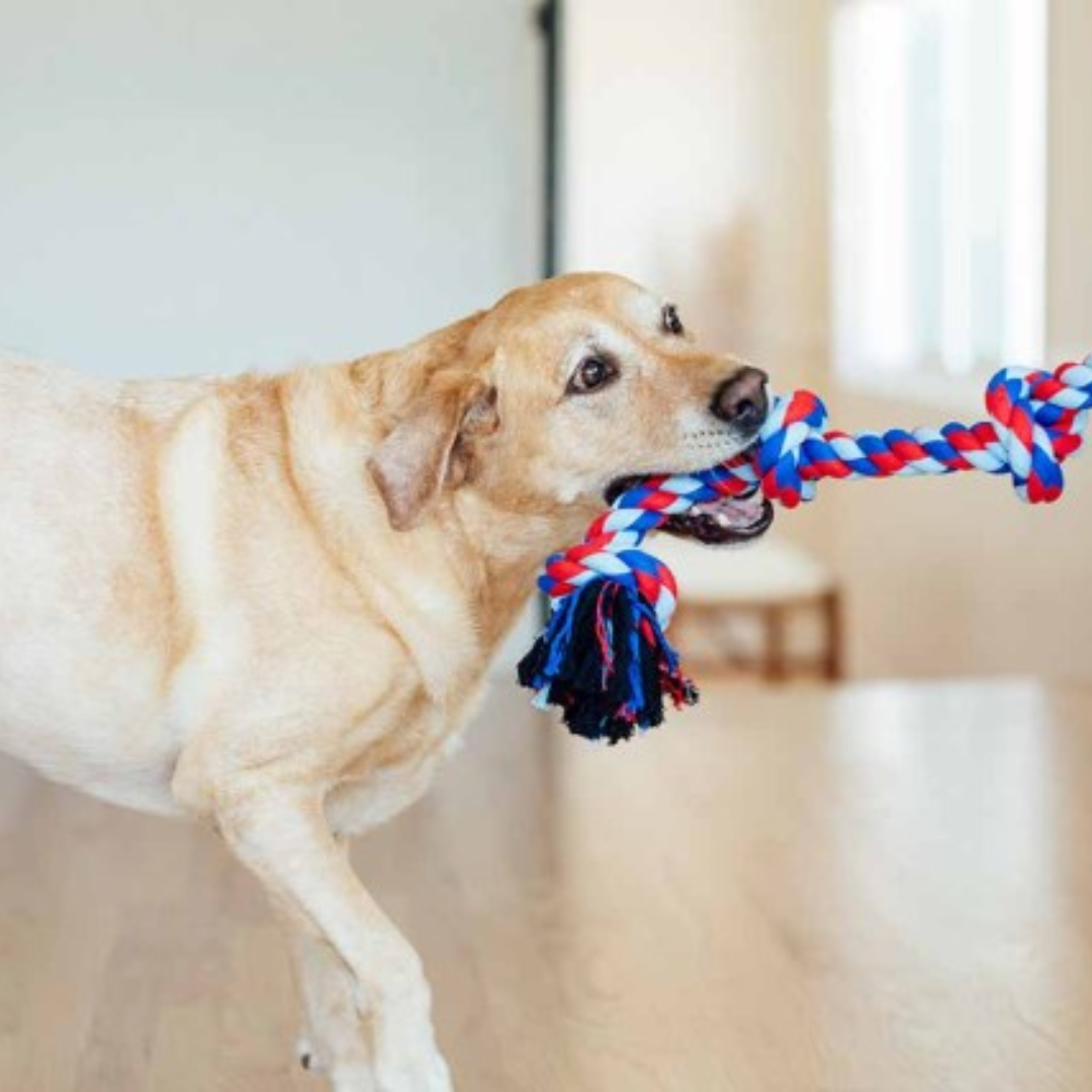 Tug Toys