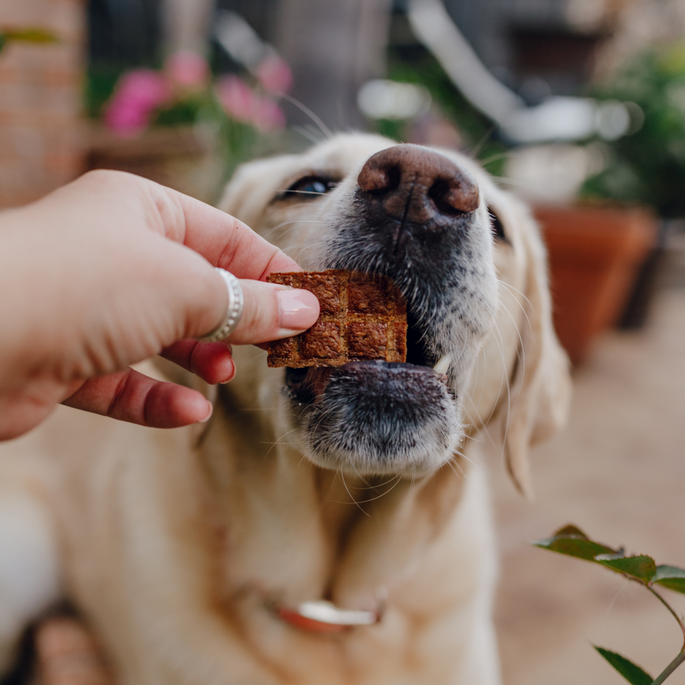 Jerky Treats