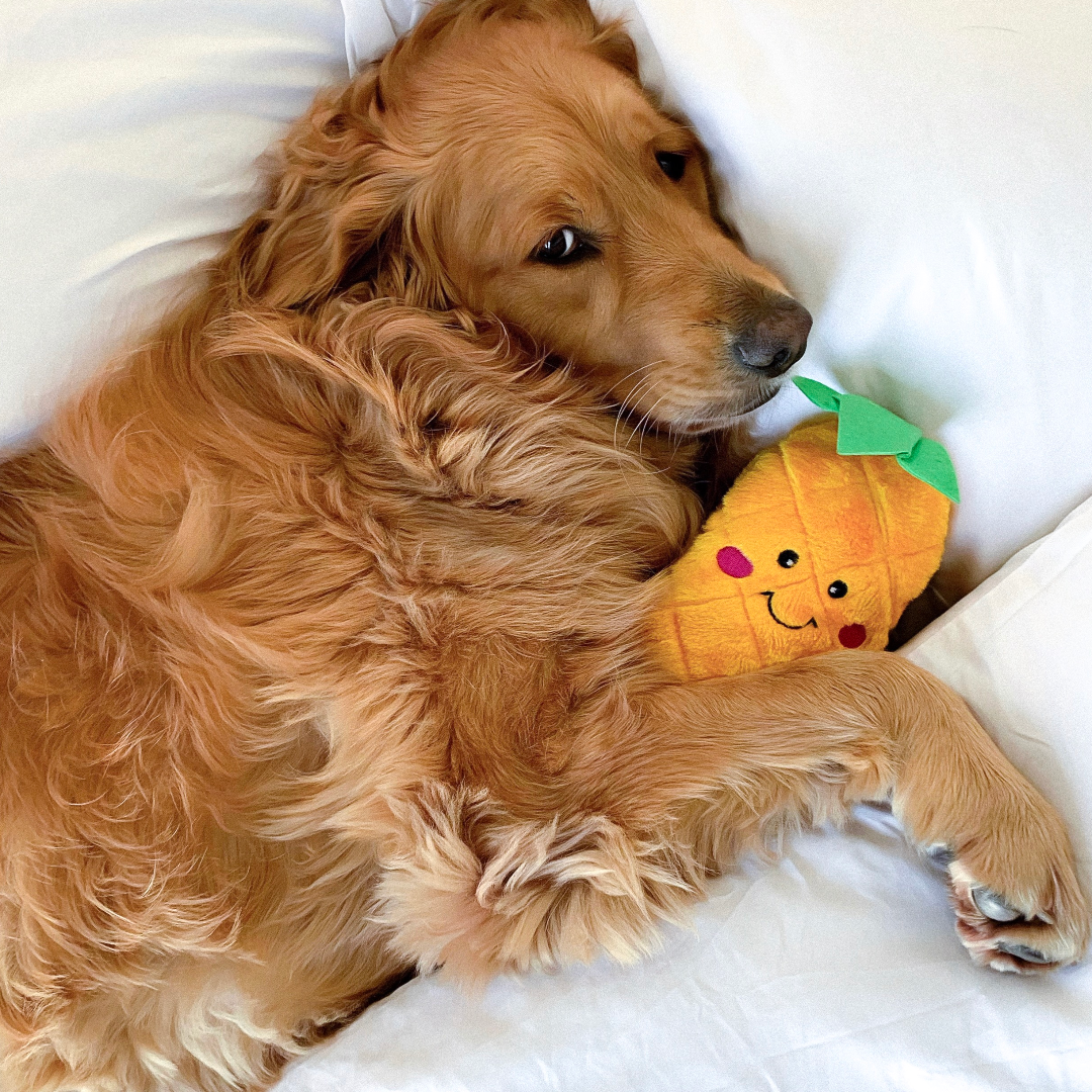 NomNomz Pineapple