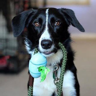 Bamboo Pocket Dog Poop Bag Dispenser