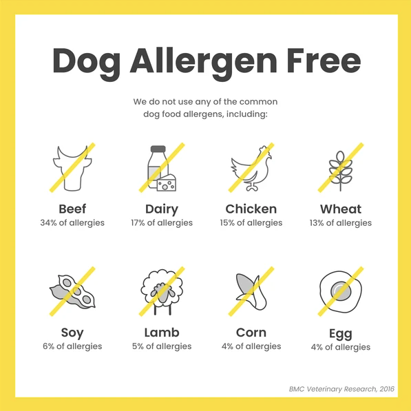 Superfood Bites