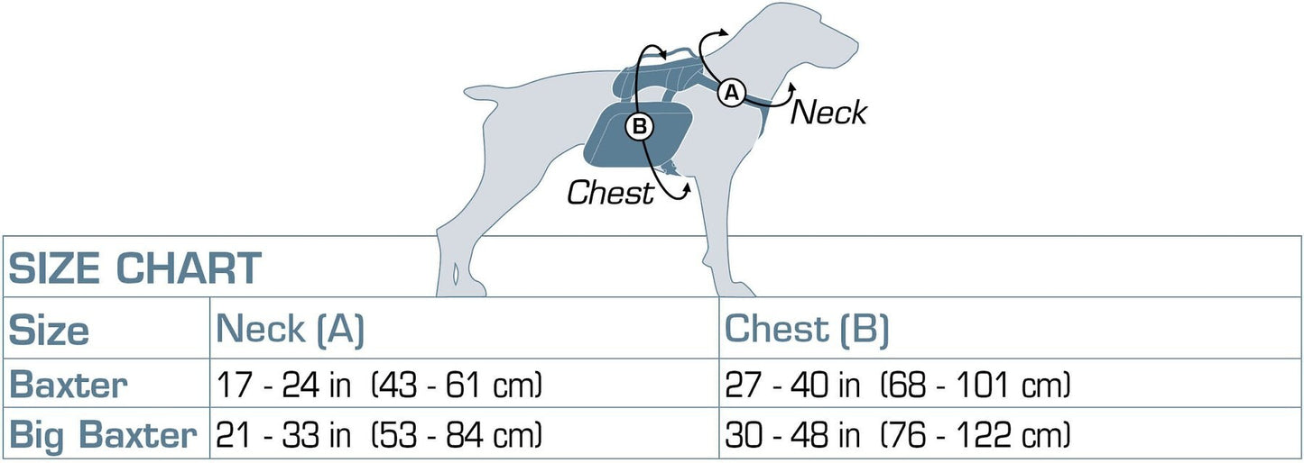 Baxter Dog Backpack