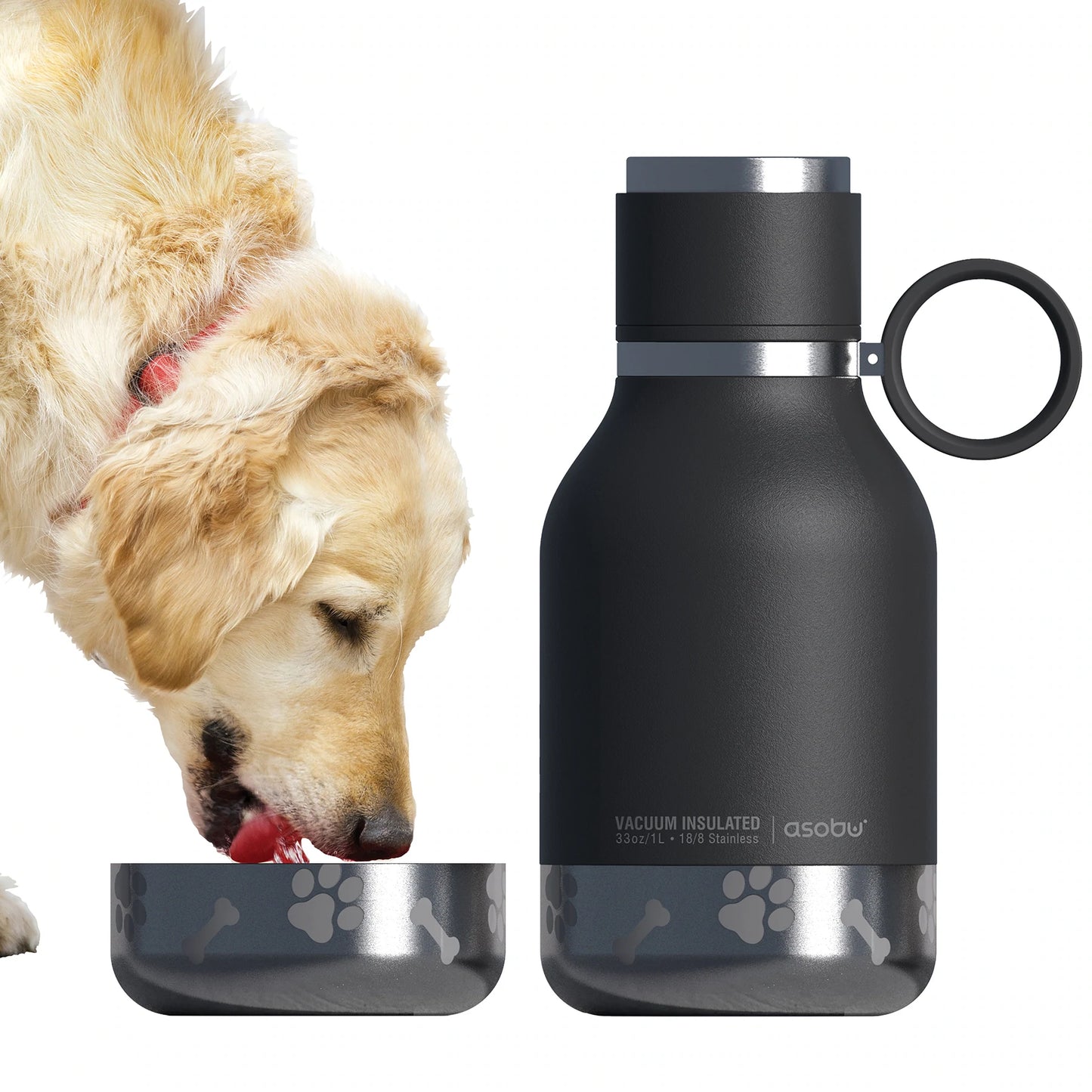 Dog Bowl Insulated Bottle