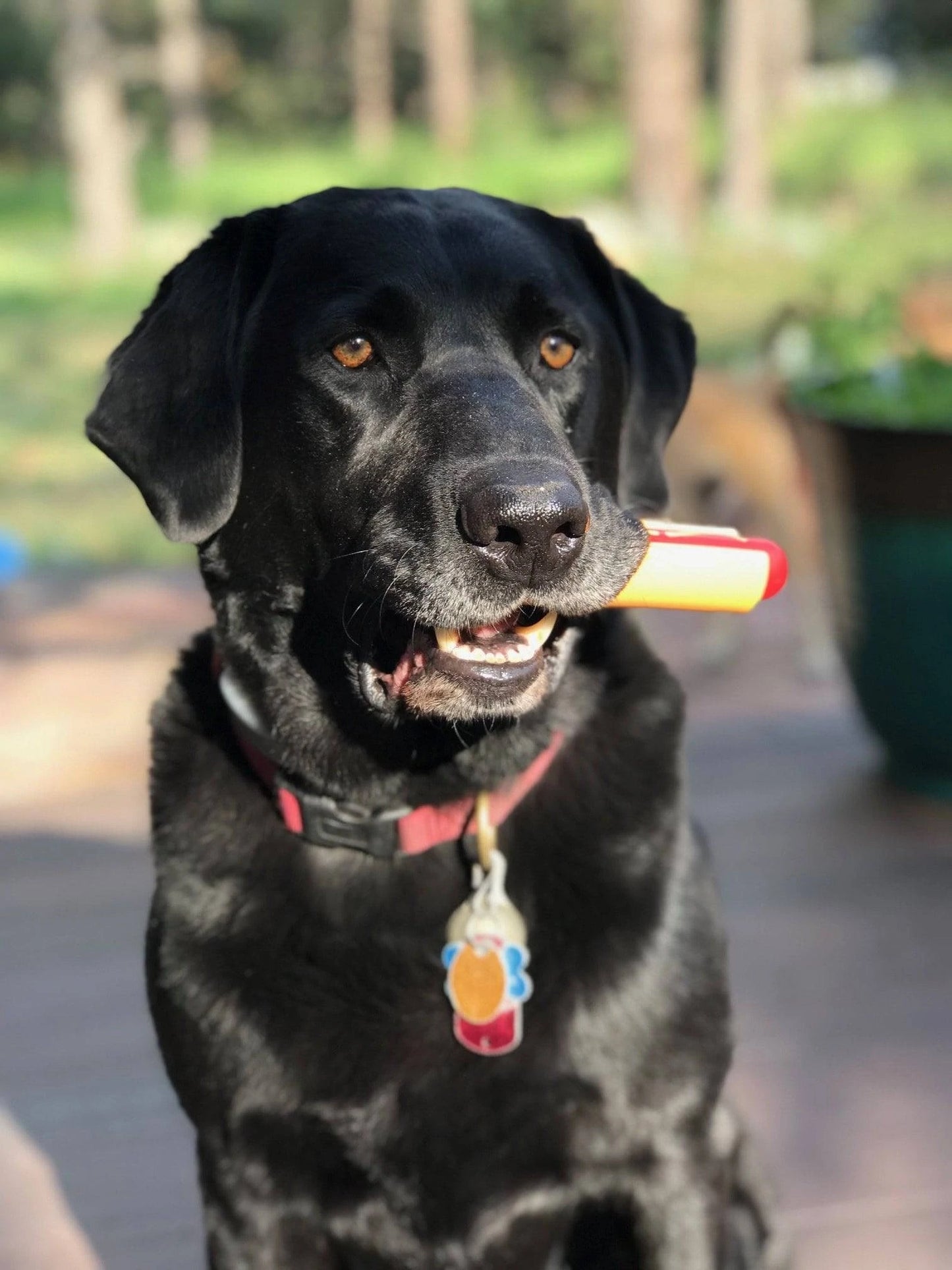 Hot Dog Ultra Durable Chew Toy