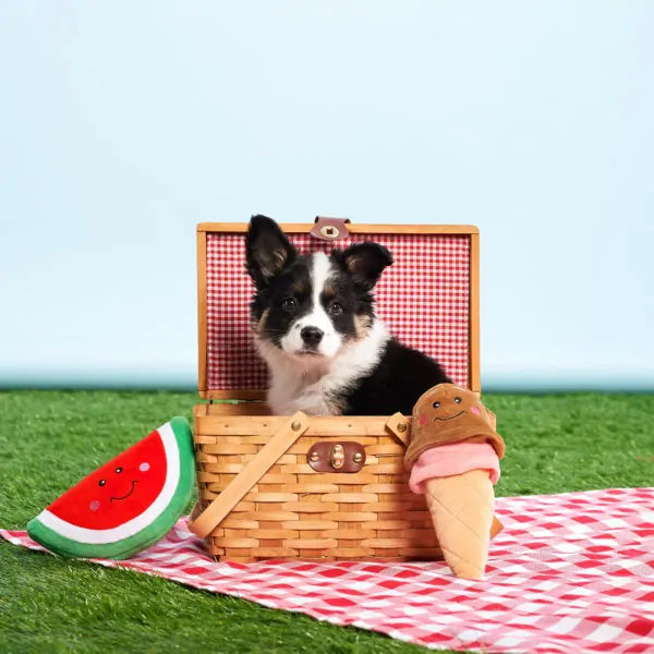 NomNomz Watermelon