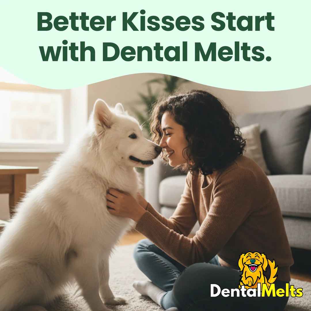 DentalMelts® | 30 Strips