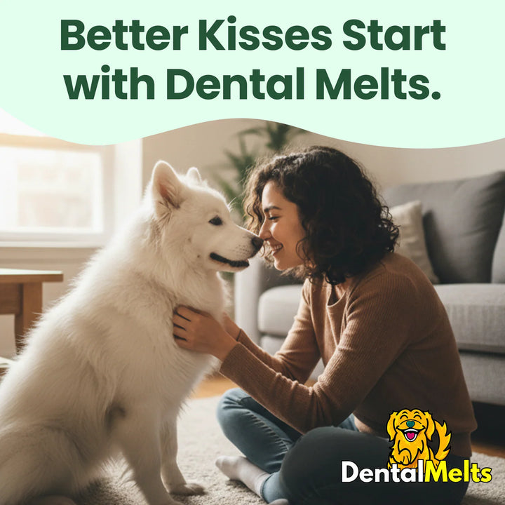 DentalMelts® | 30 Strips
