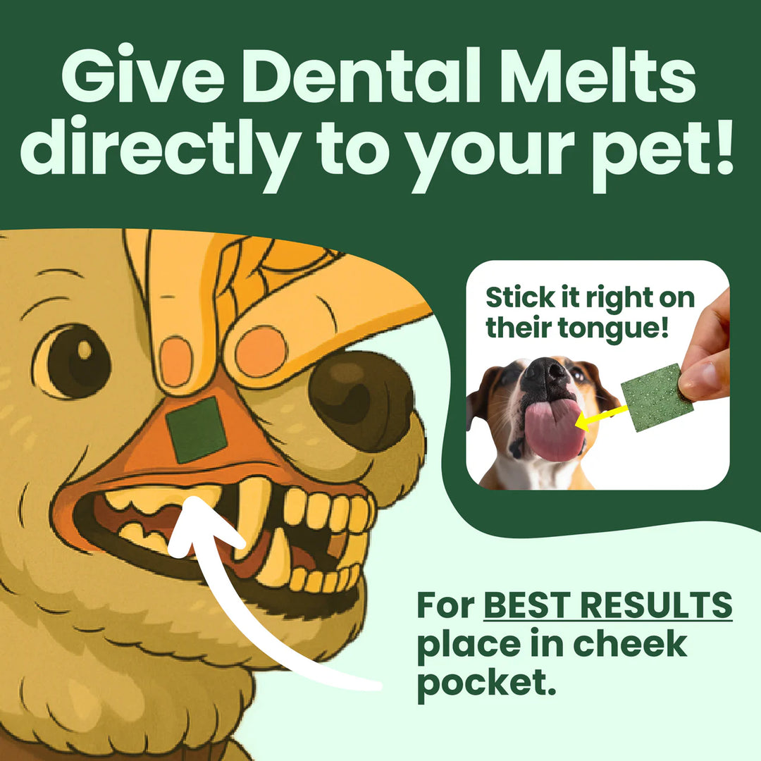 DentalMelts® | 30 Strips