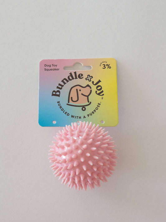 Spike Ball Dog Toy: Teal