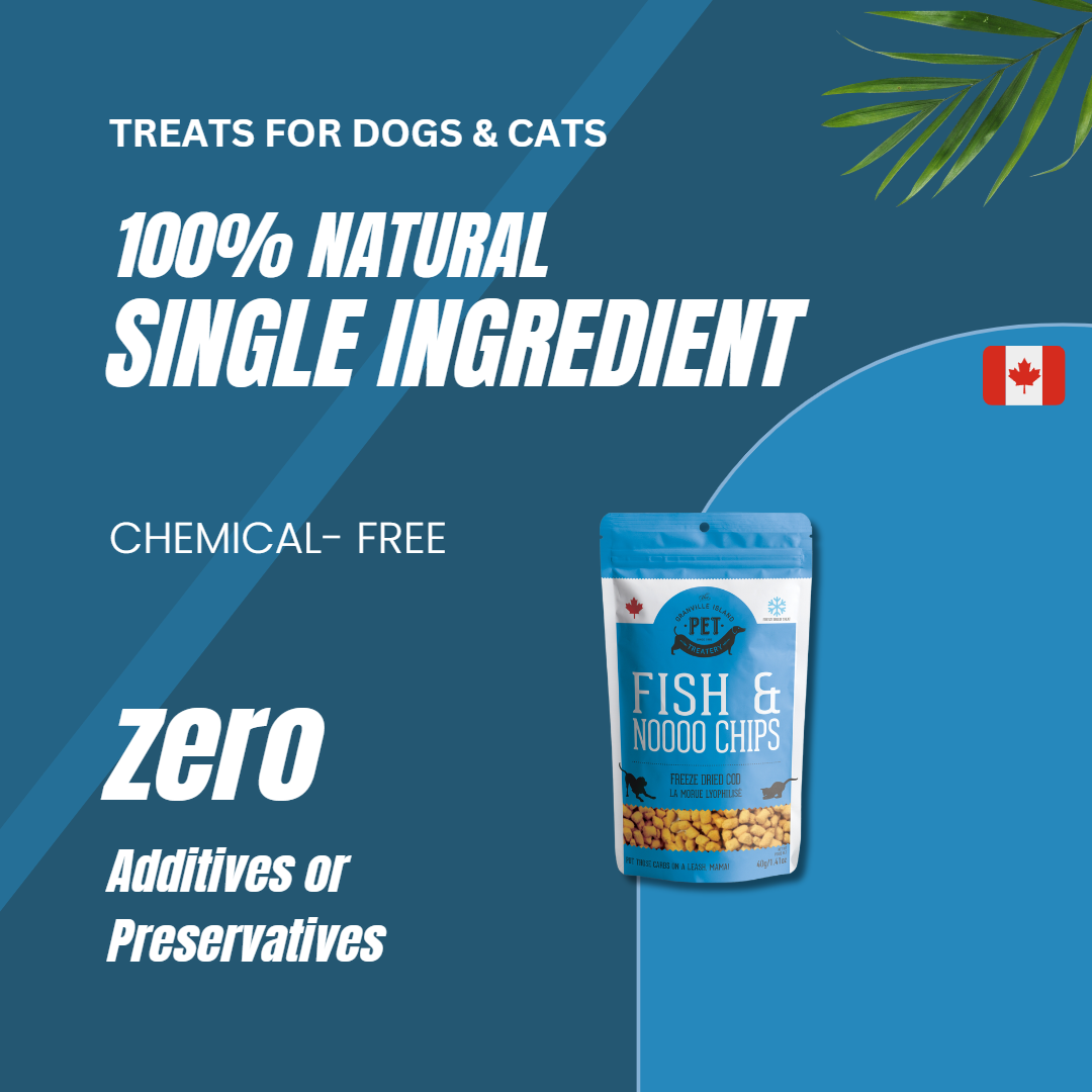 Freeze Dried Wild Cod Treat For Dogs & Cats 40g