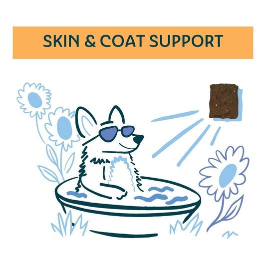 Skin and Coat Health Treats