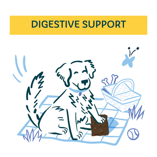 Digestive Health Treats