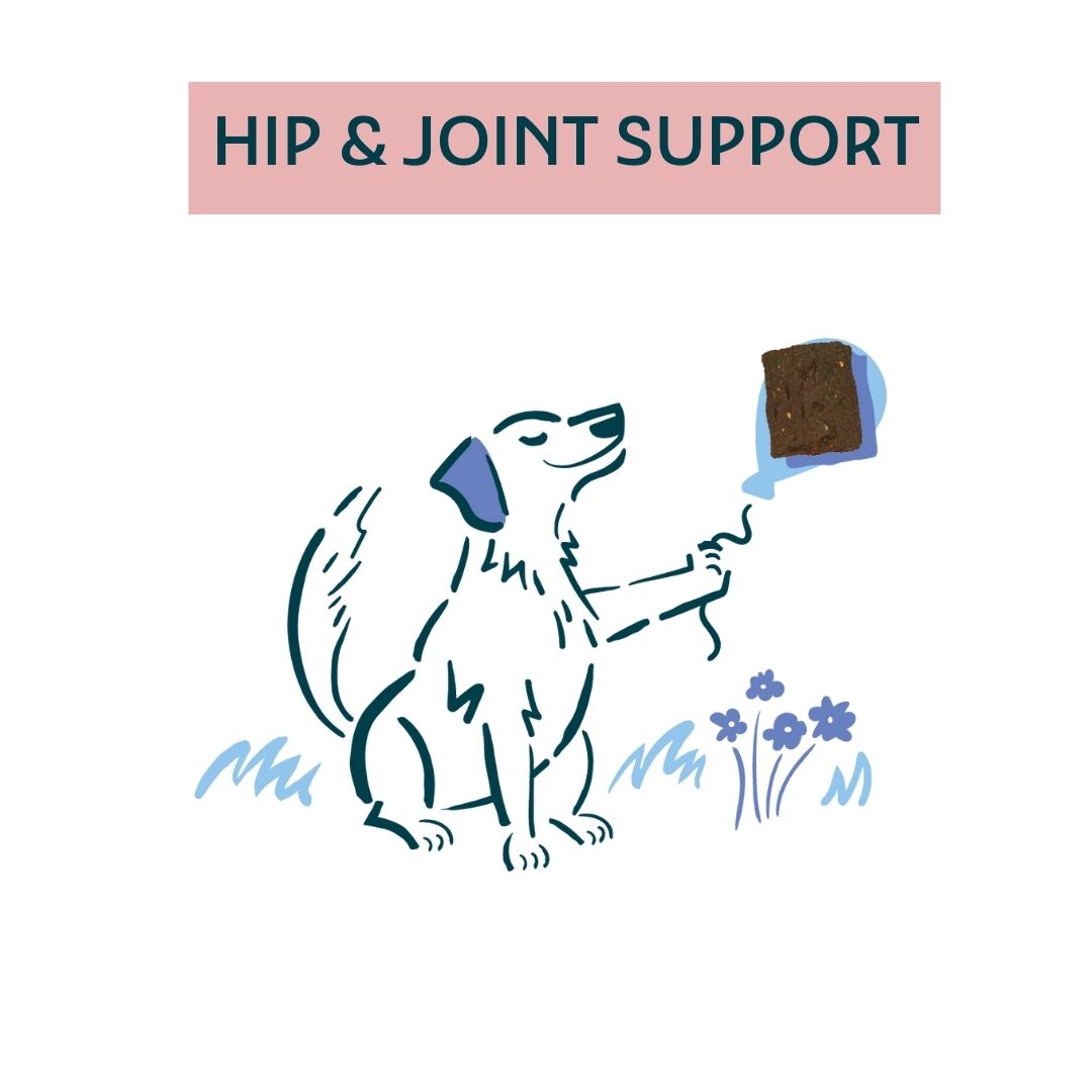 Hip and Joint Health Treats