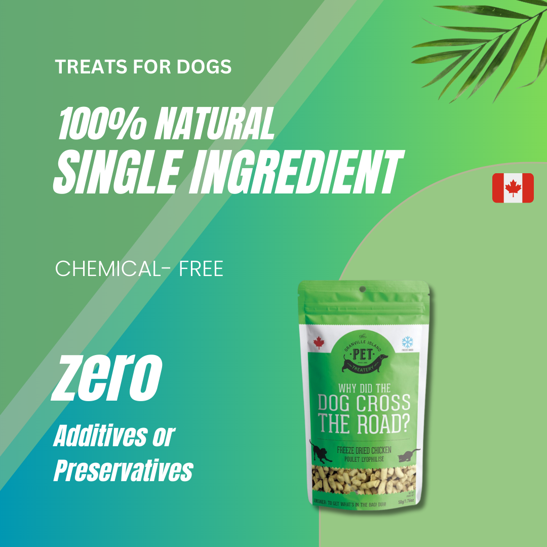 Freeze Dried Chicken Treat For Dogs 50g