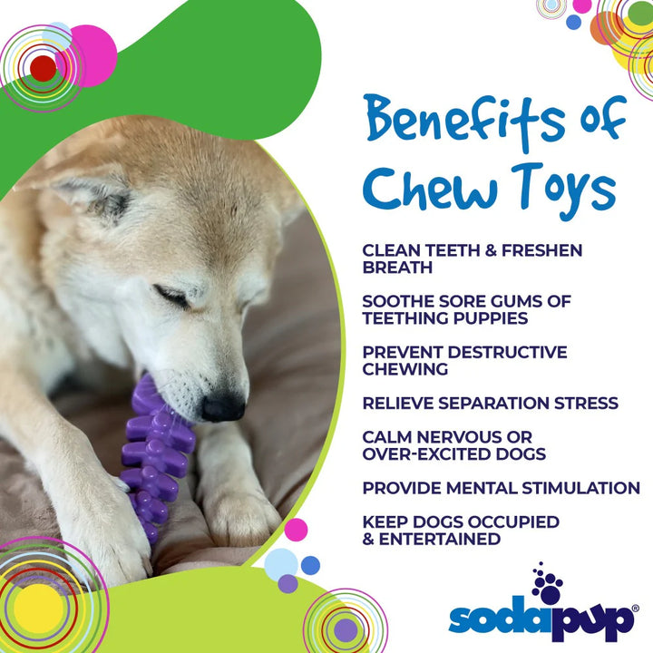 Fish Bone Nylon Chew Toy | Aggressive Chewers