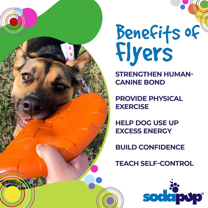 Large Bottle Top Flyer Rubber Frisbee | Vet Approved