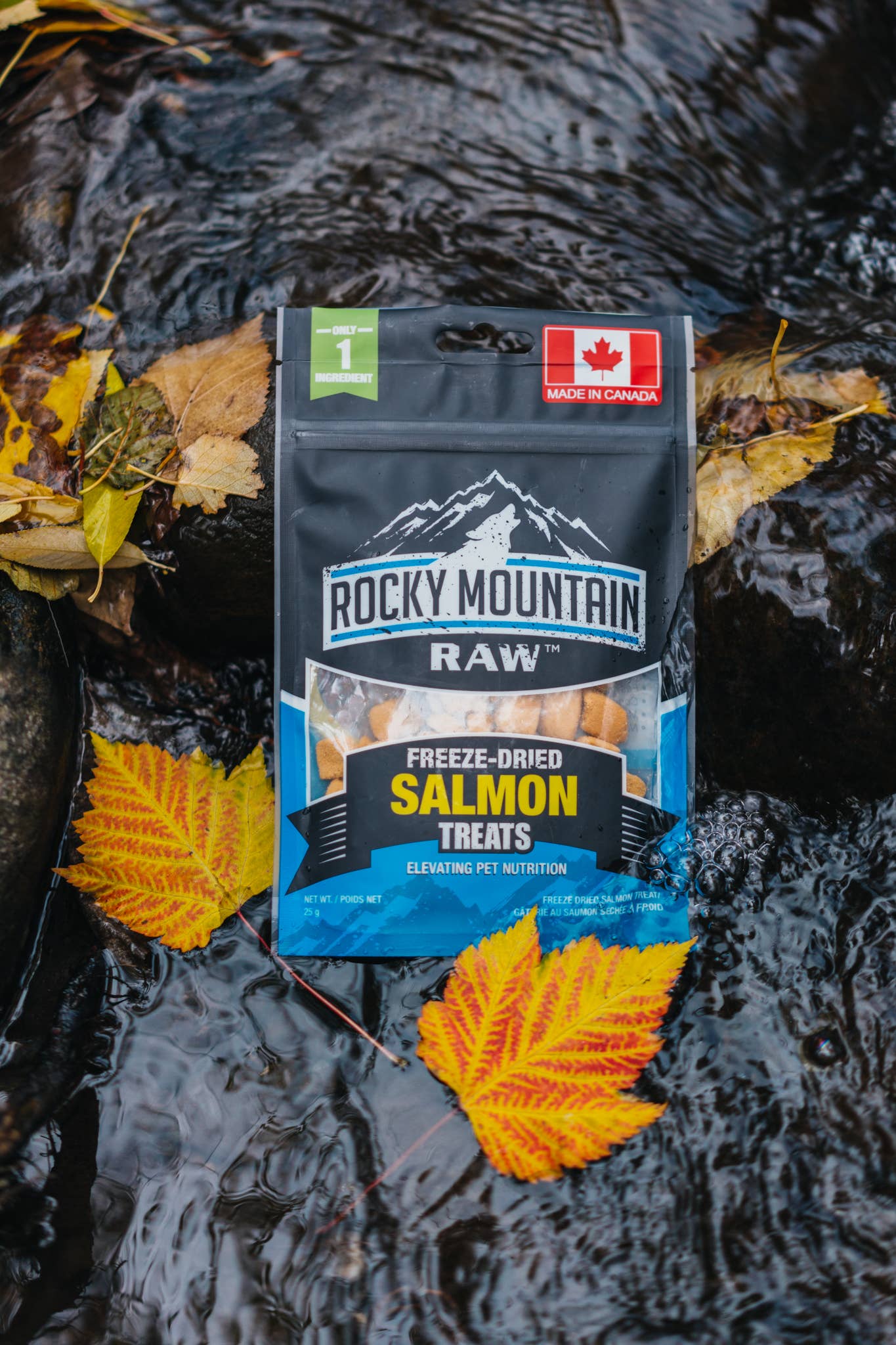 Rocky Mountain Raw Freeze-Dried Salmon Treats 25g