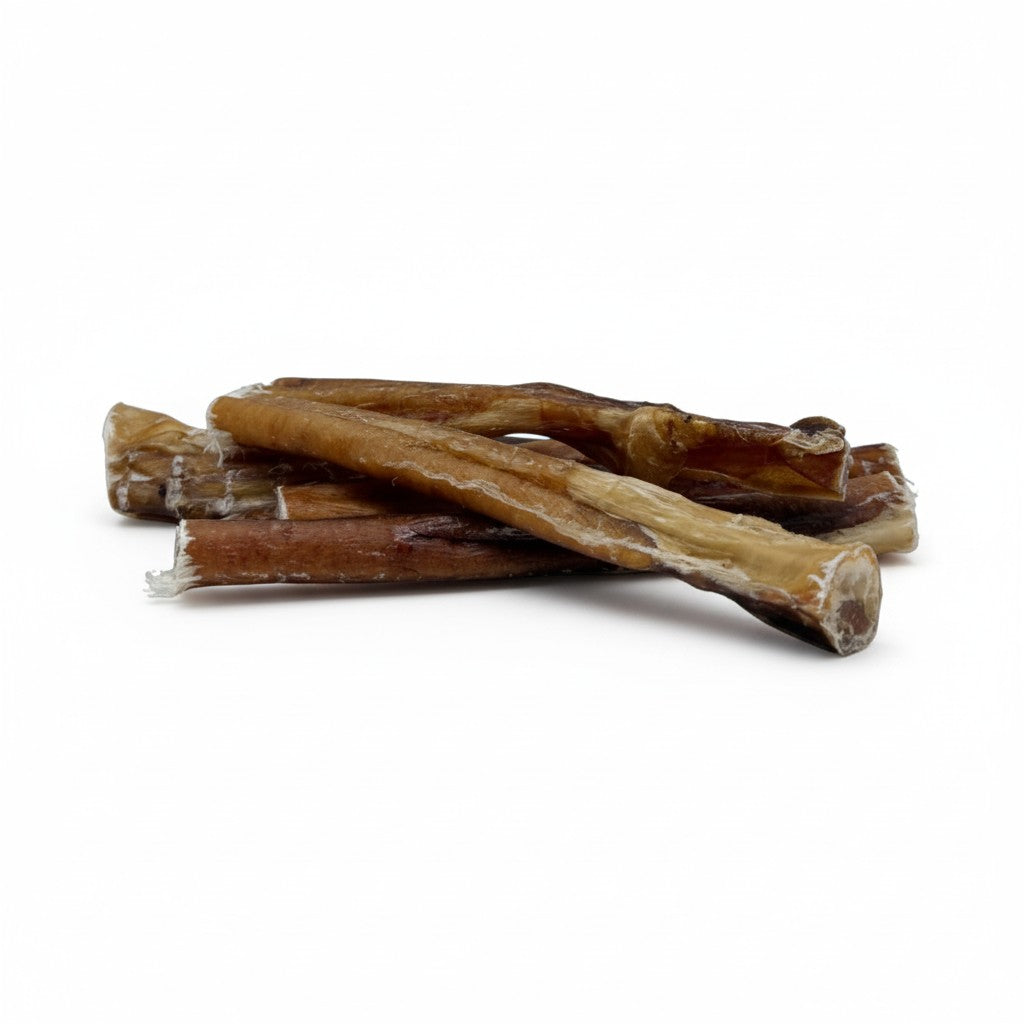 6" Standard USA Bully Sticks | 6 Pack, Very Low Odor