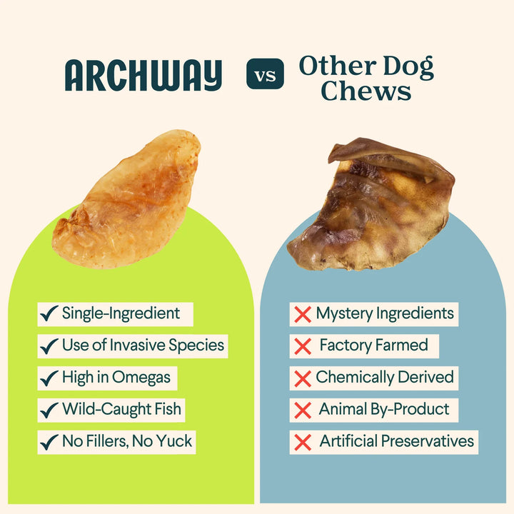 Dehydrated Fish Maws